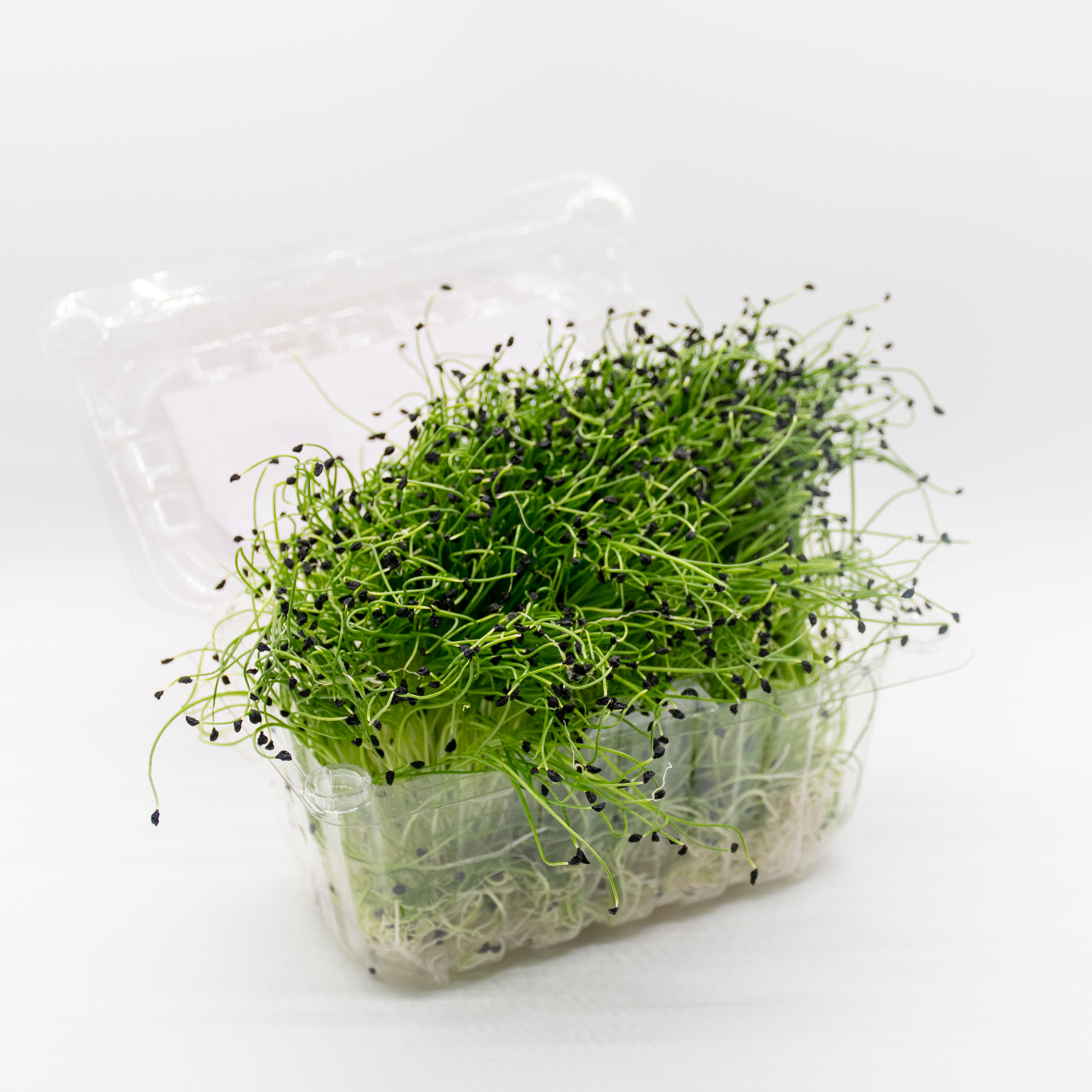 Germinado de Puerros Pequeño