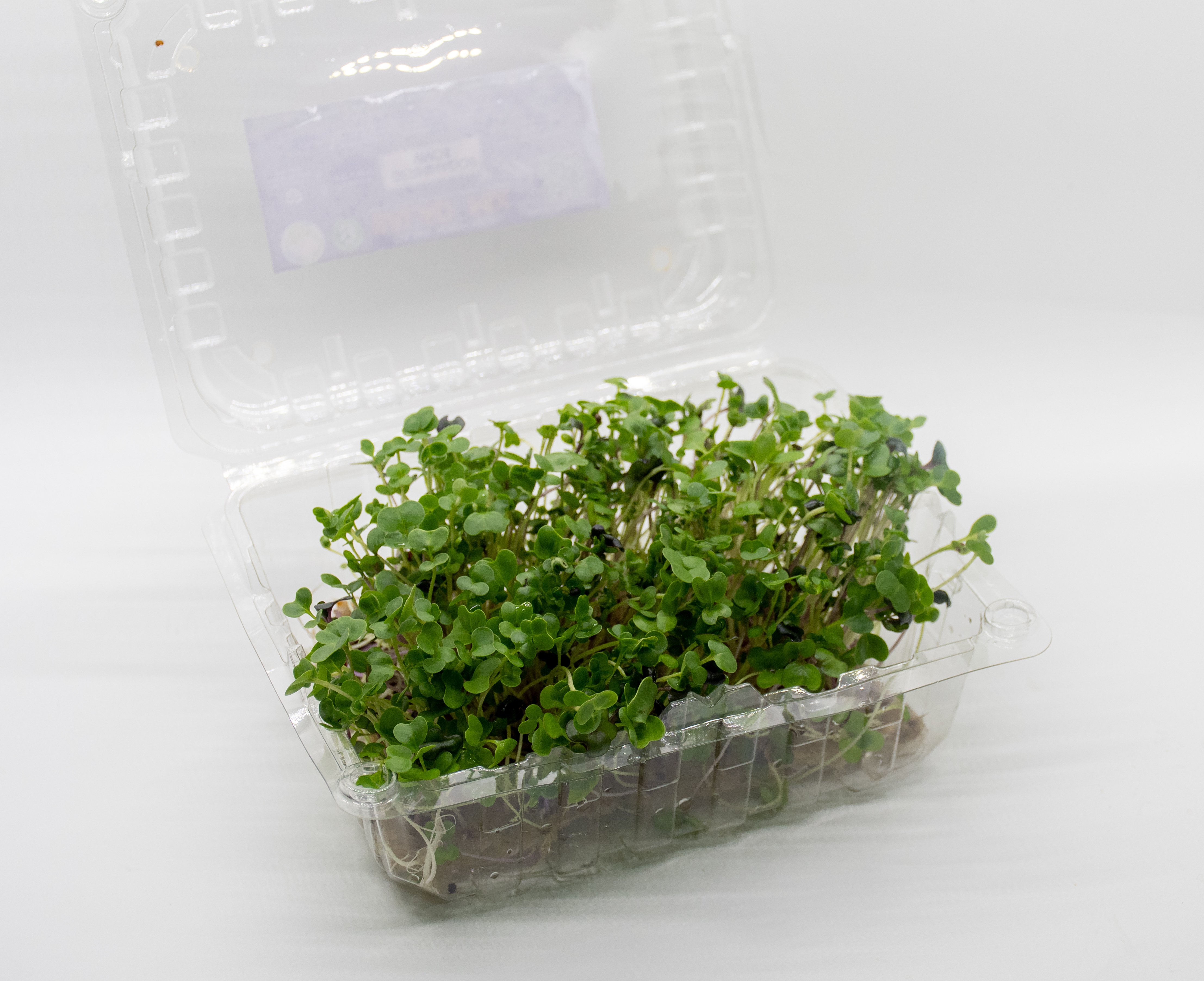 Germinado de Salad Mix Mediano