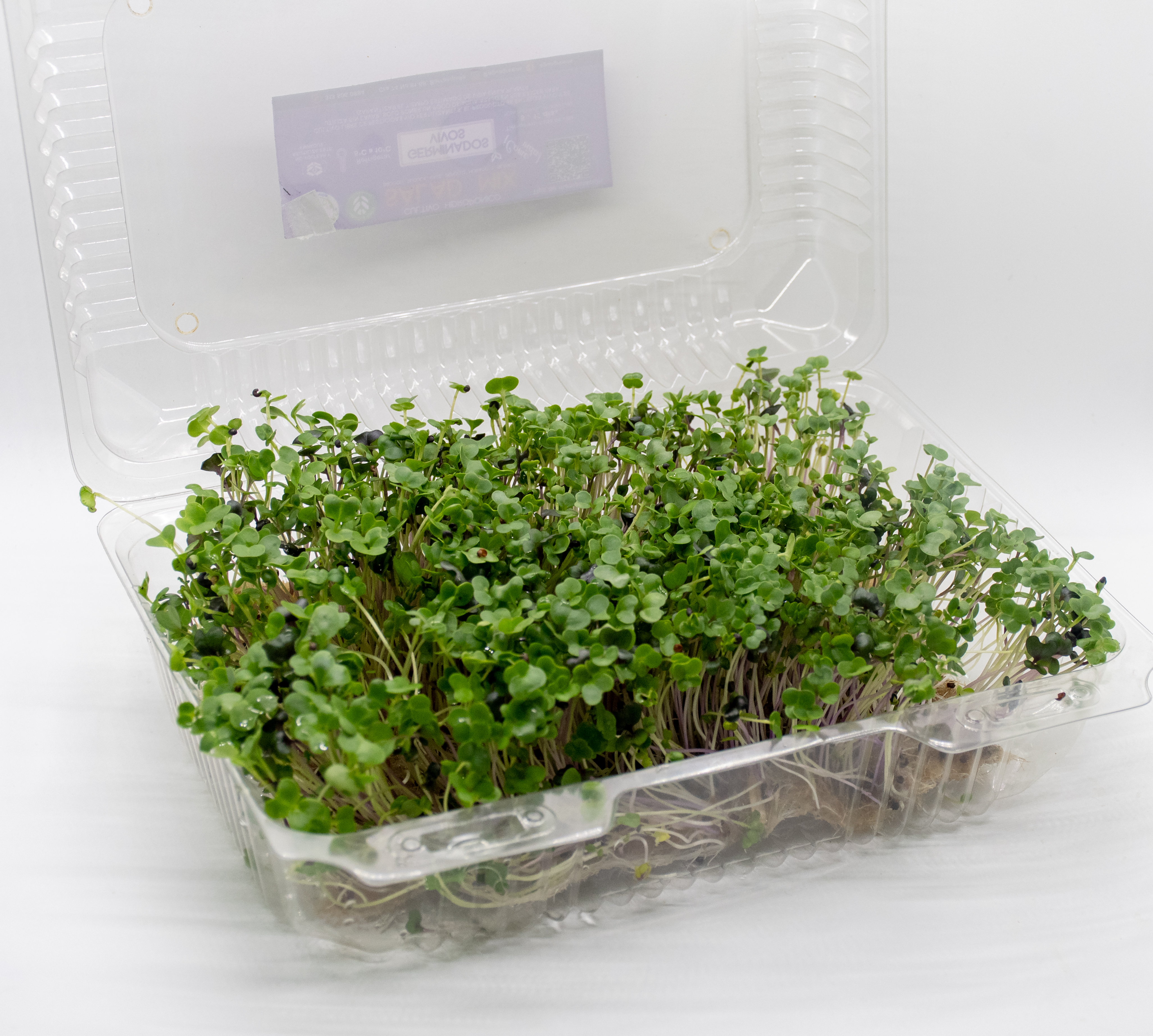 Germinado de Salad Mix Grande