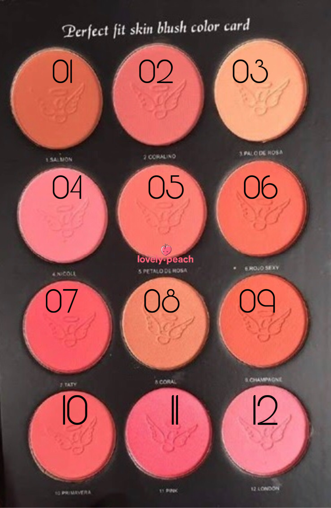 Paleta de Rubores Engol