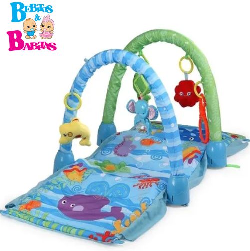 GIMNASIO ACTIVITY OCEAN PARADISE