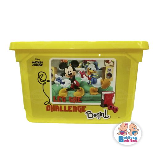 CAJON ORGANIZADOR PLASTICO CON TAPA