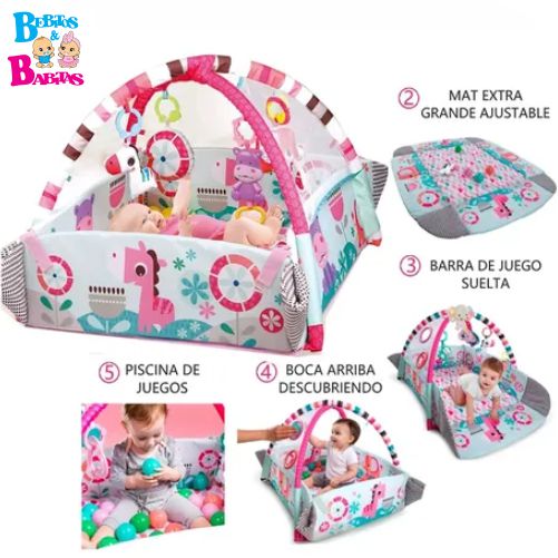 GIMNASIO CORRAL PELOTAS 5 EN 1