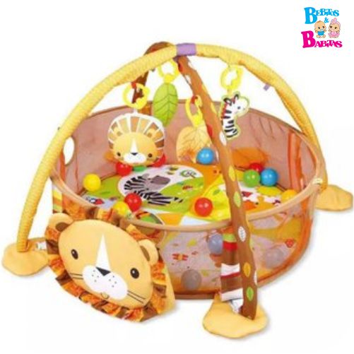 GIMNASIO GRANDE DIDACTICO PELOTAS