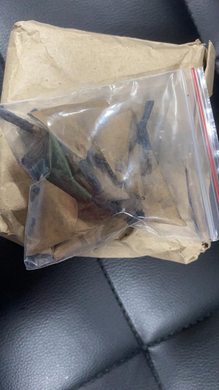 BOLSA CHAPOLA X100 UND