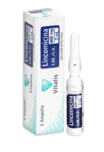 LINCOMICINA 600 mg AMP X 2 ml (VITALIS)