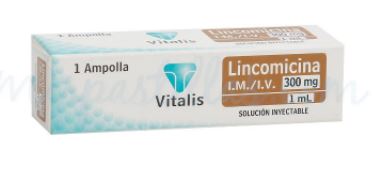 LINCOMICINA 300mg x 1 ml VITALIS