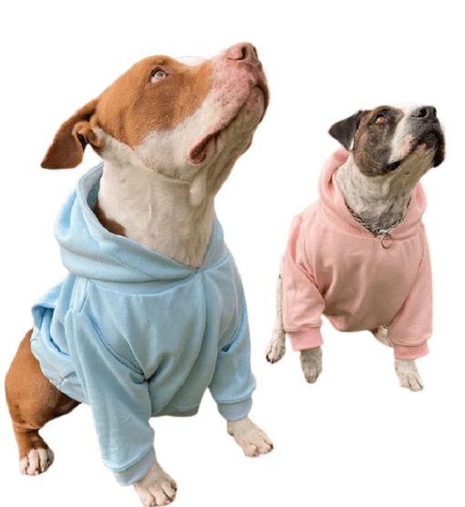 SACO CUELLO REDONDO VERDE NEON ESTAMPADO XXS MELLOW