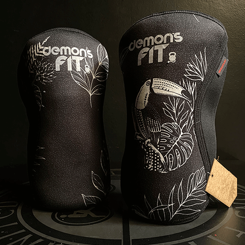 RODILLERAS LEAVES AND TOUCAN