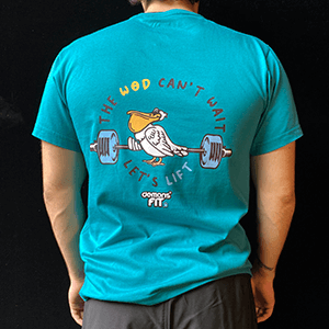 TSHIRT MEN PELICAN