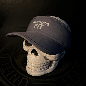 VICERA DEMONS FIT LOGO