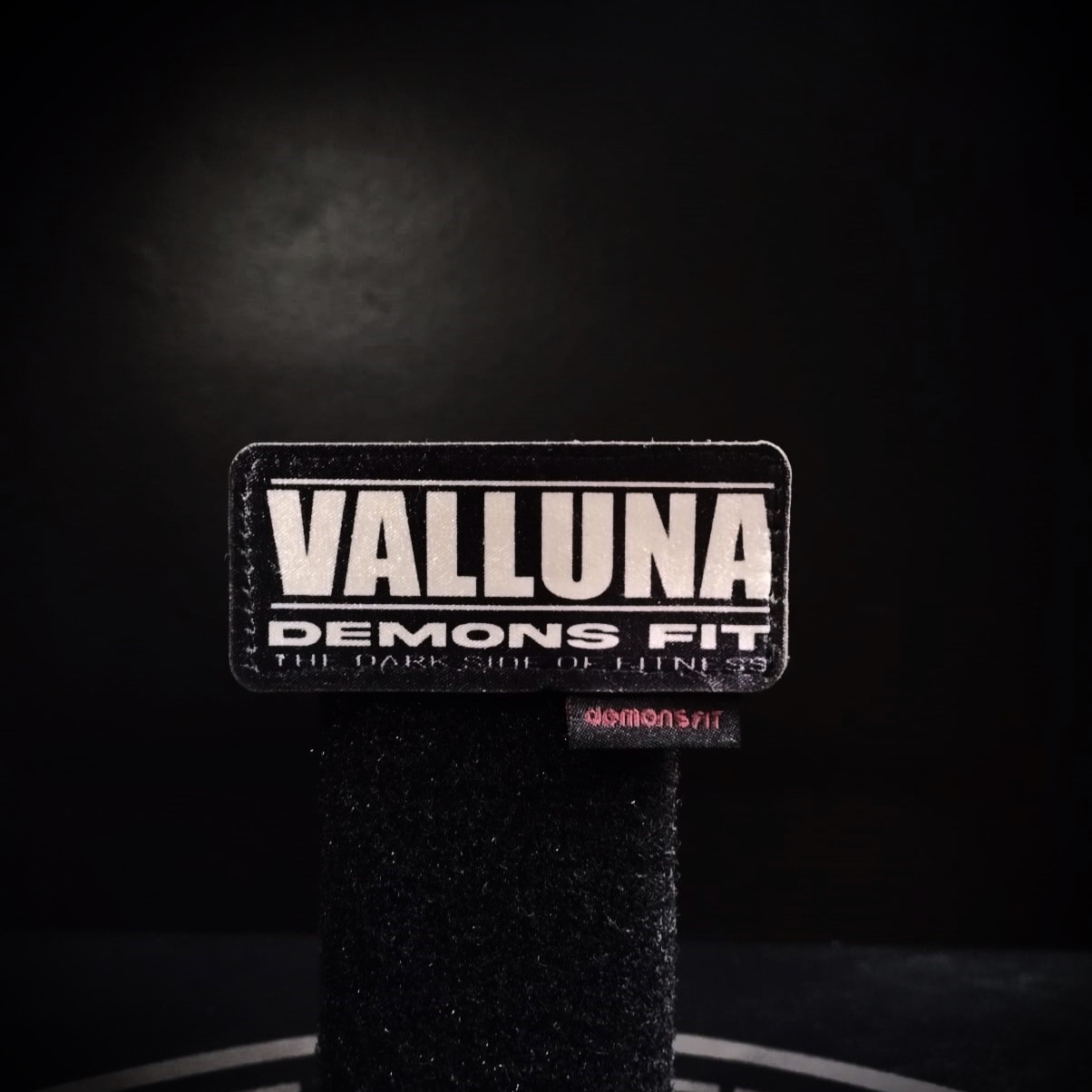 PARCHE VALLUNA SUBLIMADO