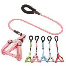 TRAILLA CON ARNES MANGO DE GOMA TALLA XL (CALABAZA)