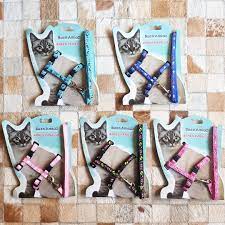 TRAILLA Y ARNES PARA GATO FLORAL (CALABAZA)