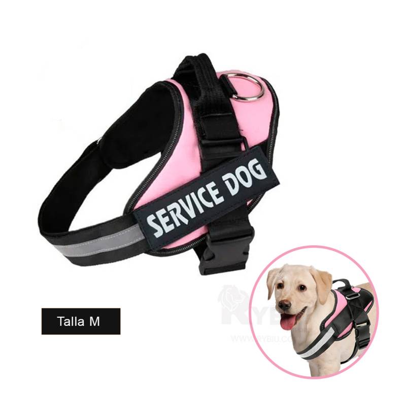 ARNES PARA PERRO ANTITIRONES S (CALABAZA)