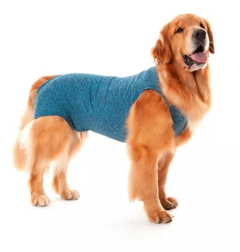 FAJA POST QUIRURJICA TALLA L MACHO (MASCOCLUB)