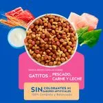 CAT CHOW GATITOS (GRANEL)