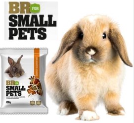 SNACK BRFOR SMALL PETS X 100 GR