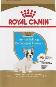 BHN BULLDOG FRANCES PUP 3KG