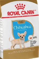 BHN CHIHUAHUA PUPPY 1.13KG