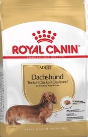BHN DACHSHUND AD 1.5KG
