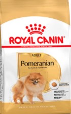 BHN POMERANIAN AD 1.5KG