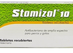 STOMIZOL 10 MG CAJA X 10