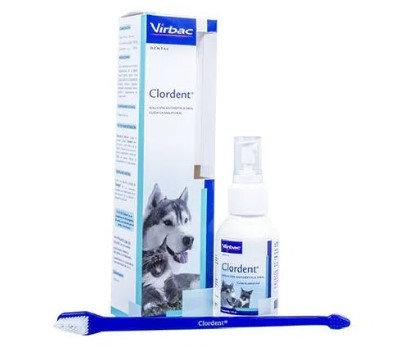 CLORDENT SPRAY FCO X 120 ML