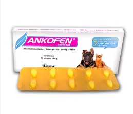 ANKOFEN CAJA X 10 TAB