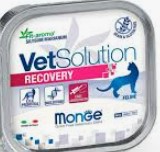 CAT MONGE VET SOLUTION RECOVERY X 100 GR