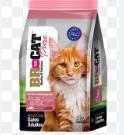 BRforCAT GATO ADULTO - SALMÓN x 10 Kg.