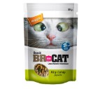 SNACK BRFORCAT CATNIP 60 GR