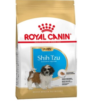 BHN SHIH TZU PUPPY 1.5KG