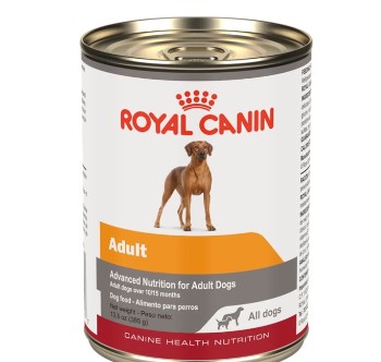 CHN ADULT LATA 382GRS