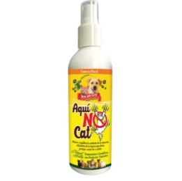 AQUI SI CAN SPRAY X 240 ML