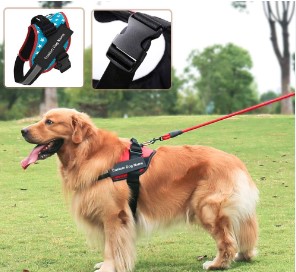 ARNES PARA PERRO ANTITIRONES M (CALABAZA)