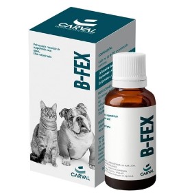 B FEX FCO X 60 ML