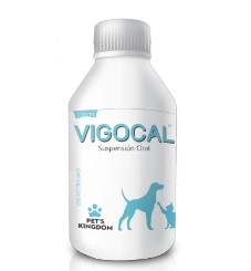 VIGOCAL FCO X 120 ML