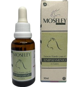 ESPUMA MOSELEY TEMPERAMENTO GATOS