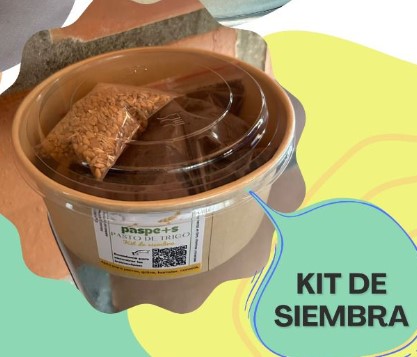 PASTO DE TRIGO SIN GERMINAR