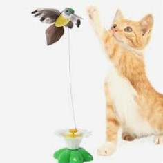 F JUGUETE INTERACTIVO GIRATORIO COLIBRI (CALABAZA)