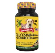 GLUCOSAMINA CONDROITINA FCO X 50 CAPSULAS