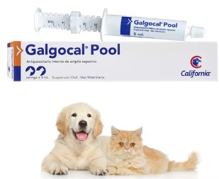 GALGOCAL POOL 5 ML ( 1 ML X C/ KILO)