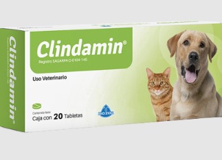 CLINDAMIN - UND