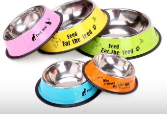 COMEDERO EN ACERO INOXIDABLE CON COLOR Y DIBUJO 18CM  (CALABAZA)