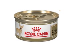 BHN DACHSHUND LATA 85GR