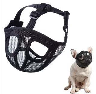 BOZAL PARA BULLDOG TALLA M (CALABAZA)