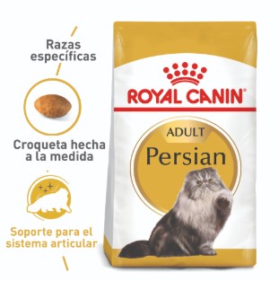 FBN PERSIAN ADULTO 400 GR