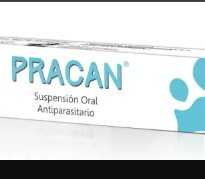PRACAN GERINGA 5ML