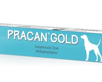 PRACAN GOLD 10ML